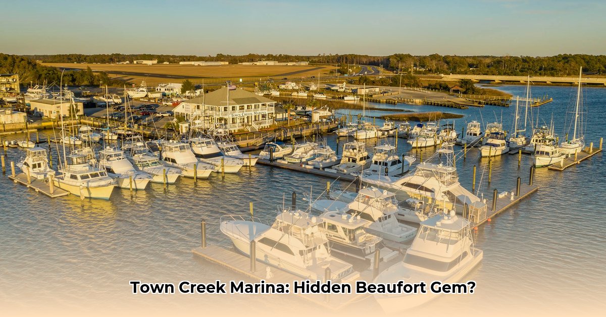 town-creek-marina-beaufort-north-carolina